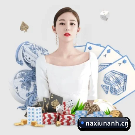 赛前数据情报