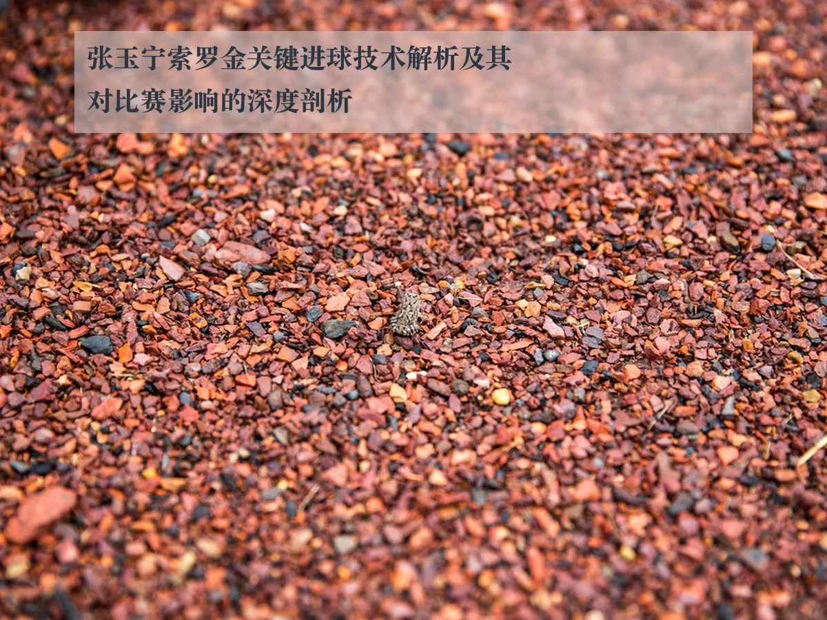 张玉宁索罗金关键进球技术解析及其对比赛影响的深度剖析
