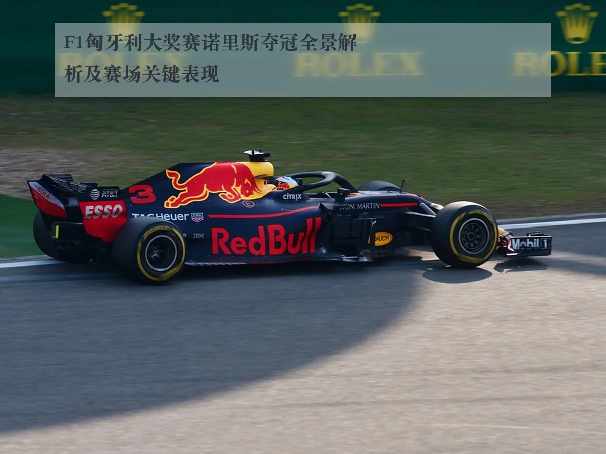 F1匈牙利大奖赛诺里斯夺冠全景解析及赛场关键表现